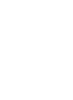 DICE