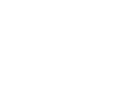 International Nightlife Congress